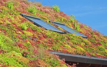 Edford living roof systems