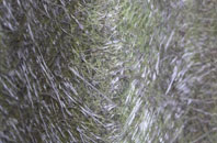 Edford fibreglass roof work